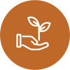 Ambiente y Desarrollo Sustentable